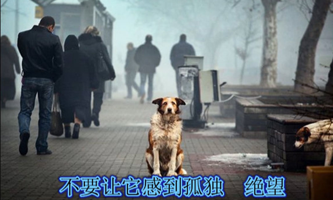 宿迁宿迁爱影圈微博微信转发案例